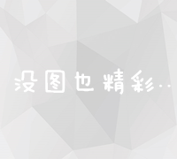 高效查询网站域名及IP信息全能工具